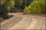 EKO Acropolis Rally 2021