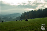 Central European Rally 2024