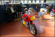 Museo Stanquellini 2025