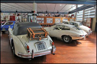 Museo Stanquellini 2025